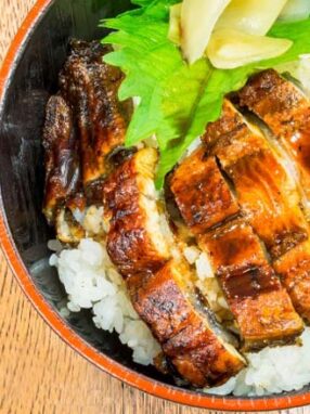 Rice Bowl with Vegetables (Donburi)